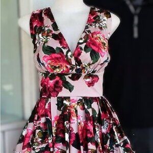 Retrospec'd vivian secret garden retro vintage repro 1950s dress, AUS 16 US 14